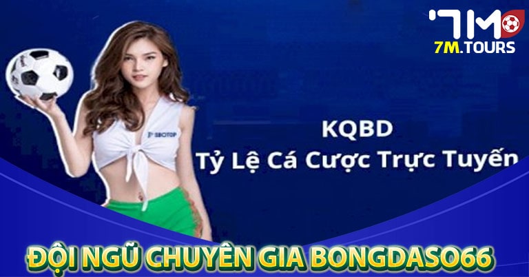 Đội ngũ chuyên gia hoạt động của bongdaso66 